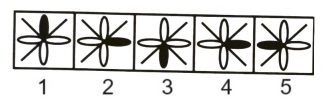 Classification in Non Verbal Reasoning mcq question image Classification in Non Verbal Reasoning mcq question image