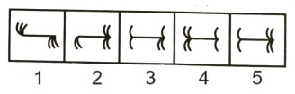 Classification in Non Verbal Reasoning mcq question image Classification in Non Verbal Reasoning mcq question image