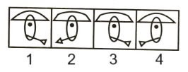 Classification in Non Verbal Reasoning mcq question image Classification in Non Verbal Reasoning mcq question image