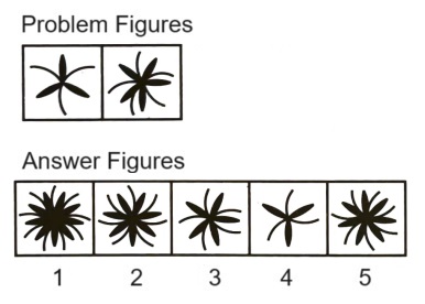 Classification in Non Verbal Reasoning mcq question image Classification in Non Verbal Reasoning mcq question image