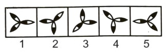 Classification in Non Verbal Reasoning mcq question image Classification in Non Verbal Reasoning mcq question image