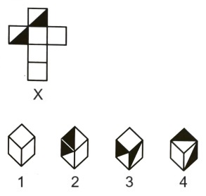 Cubes and Dice mcq question image