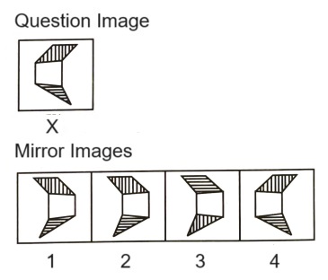 Mirror Images mcq question image