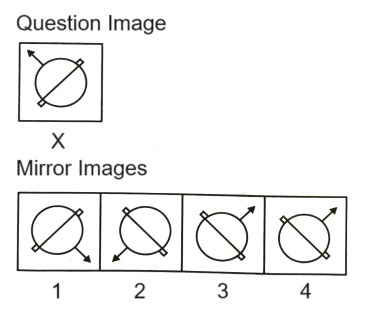 Mirror Images mcq question image