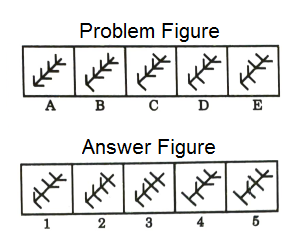 Series in Non Verbal Reasoning mcq question image Series in Non Verbal Reasoning mcq question image