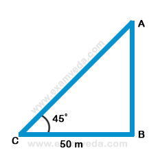 Height and Distance mcq solution image Height and Distance mcq solution image
