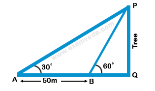 Height and Distance mcq solution image Height and Distance mcq solution image