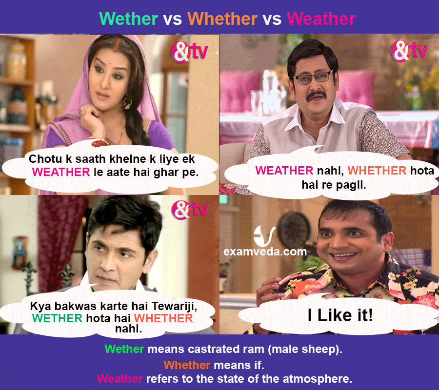 Weather vs Whether vs Wether in Bhabhi Ji ghar pe hain style