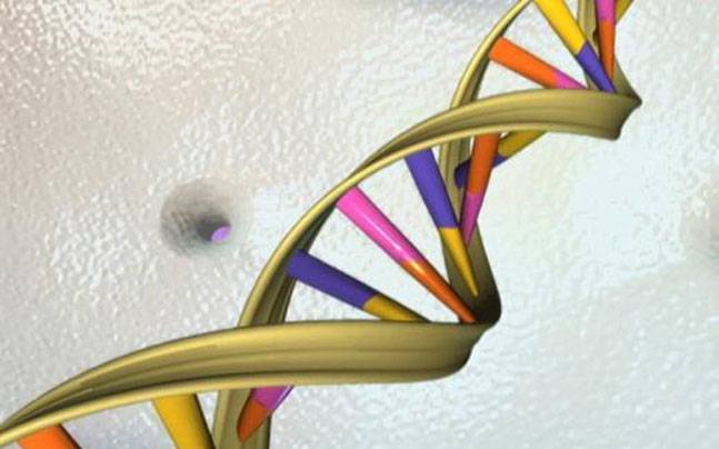 Andhra Pradesh becomes first state to launch DNA profiling of criminals