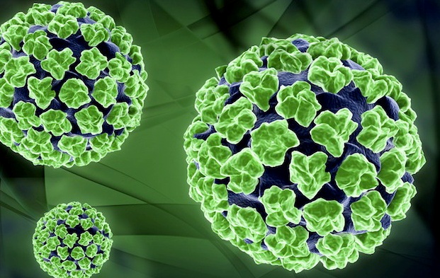 Delhi first state to launch HPV vaccine as public health programme in schools Delhi first state to launch HPV vaccine as public health programme in schools