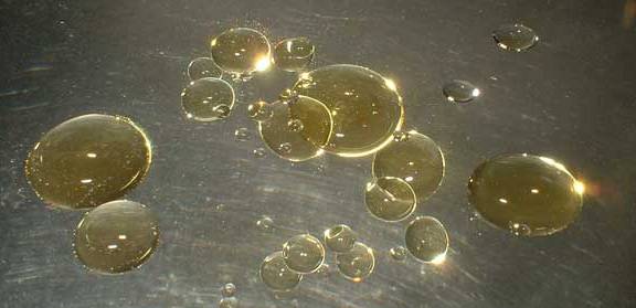 Scientists to undertake field trials of Oil-degrading bacteria in Kochi Scientists to undertake field trials of Oil-degrading bacteria in Kochi