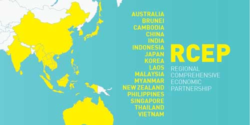 RCEP members worry over market access to China RCEP members worry over market access to China