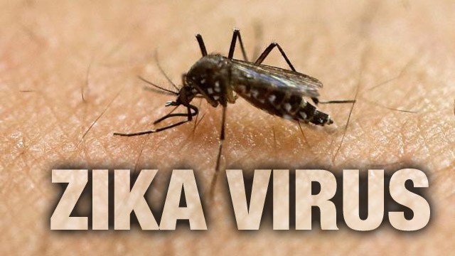 13 Indians test positive for Zika Virus in Singapore