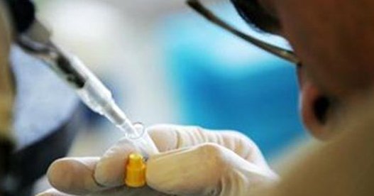 Scientists discovers protein PorB that increases effectiveness of vaccines against cancer Scientists discovers protein PorB that increases effectiveness of vaccines against cancer