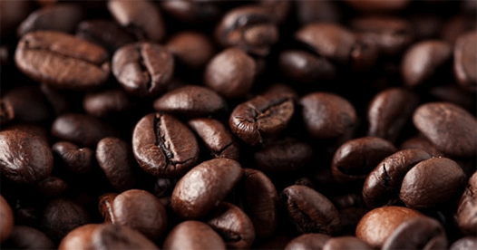 IIITM-K develops app for coffee growers