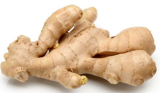 New Ginger species with medicinal properties discovered in Andamans