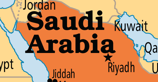 Saudi Arabia: King names Son as new Crown Prince Saudi Arabia: King names Son as new Crown Prince