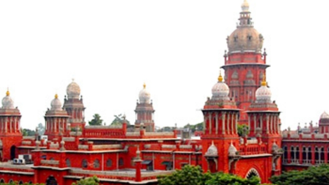 Madras HC orders TN Government to enact law to remove Seemai Karuvelam trees Madras HC orders TN Government to enact law to remove Seemai Karuvelam trees