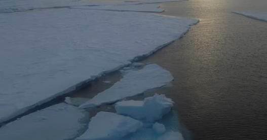Sea ice hits record winter low at both poles: Scientists