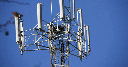 Department of Telecommunications launches Portal for Information on Mobile Tower Radiation Department of Telecommunications launches Portal for Information on Mobile Tower Radiation