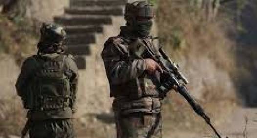 Biggest Combing Operation in 15 years conducted in South Kashmir Biggest Combing Operation in 15 years conducted in South Kashmir