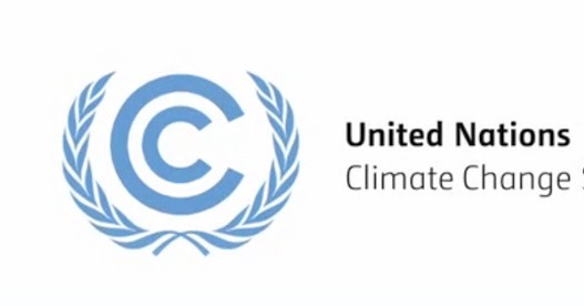 Ovais Sarmad Appointed to Key Post in UNFCCC