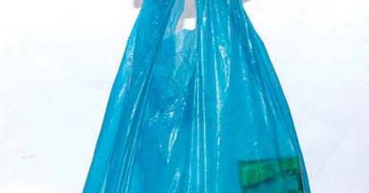 Goa Bans Thin Plastic Bags Goa Bans Thin Plastic Bags